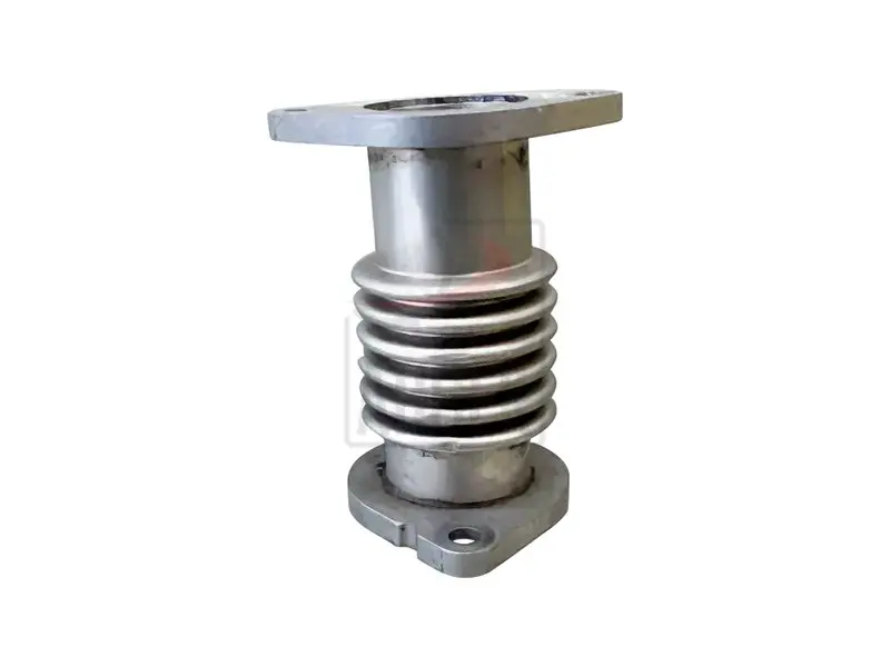 EGR BORUSU 