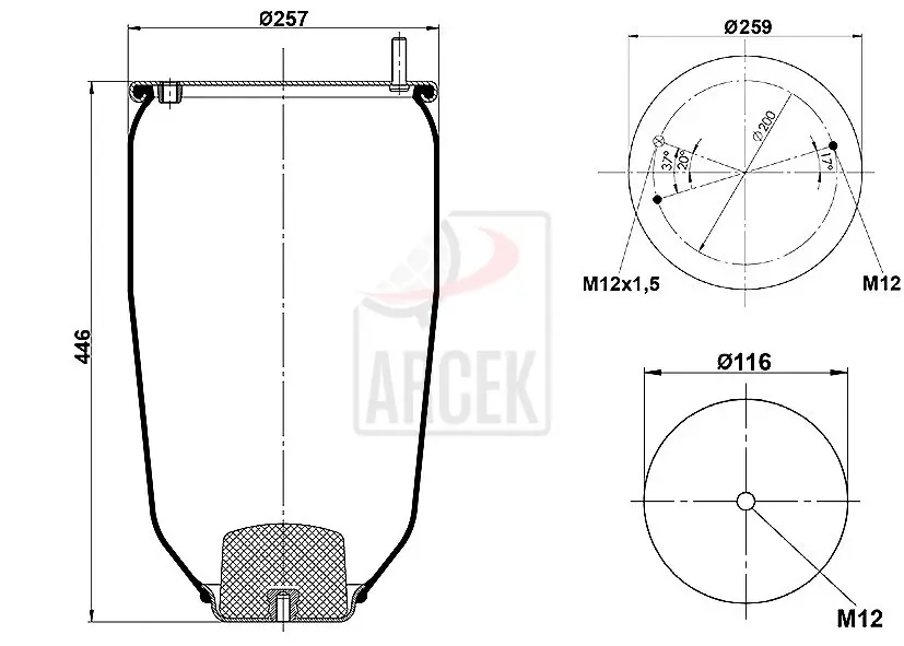 AIR SPRING 