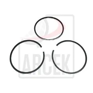 PISTON RINGS 