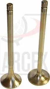 ENGINE VALVE EX. 
