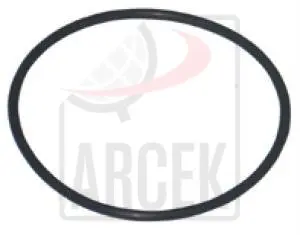 O-RING 