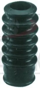 DIAPHGRAM 