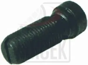 ADJUSTING SCREW