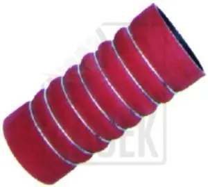 INTERKOL HORTUMU 