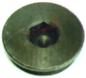 SCREW PLUG 