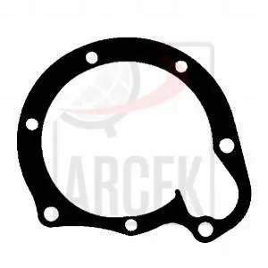 WATER PUMP GASKET 