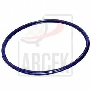 SEALING RING 