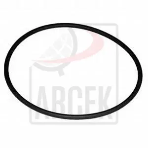 SEALING RING 
