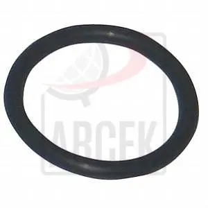 SEALING RING 