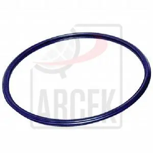 TORIC SEAL