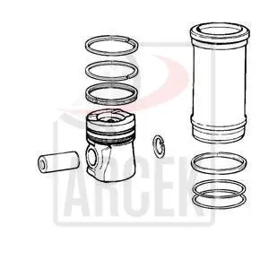 PISTON &RING 