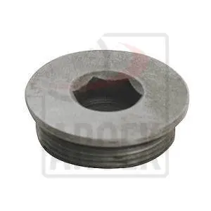 PLUG CYLINDER HEAD 