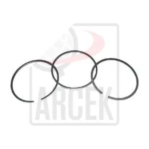 PISTON RINGS 