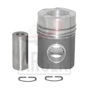 PISTON with RING 