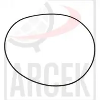 O-RING