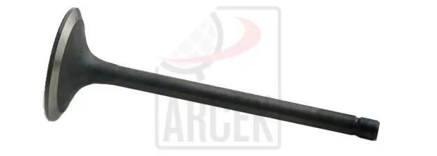 ENGINE VALVE IN. 