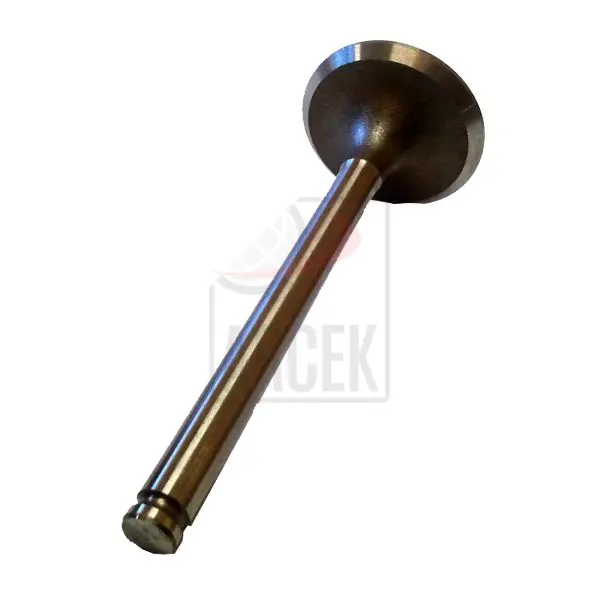 ENGINE VALVE IN. 