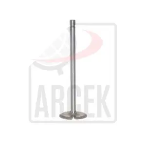ENGINE VALVE IN 