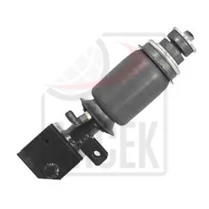 CABIN SUSPENSION AIR SPRING WITH SHOCK ABSORBER REAR 