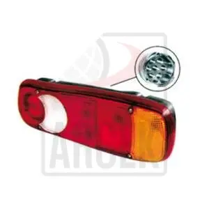 TAIL LAMP RIGHT WITH SOCKET 