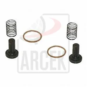 FEED PUMP REP.KIT 