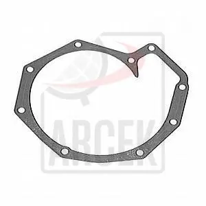 WATER PUMP GASKET 