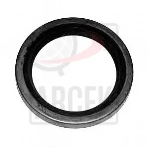 SEALING RING 