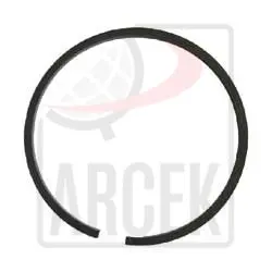 MANIFOLD SEALING RING 
