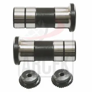 CALIPER PISTONS REPAIR KIT R 