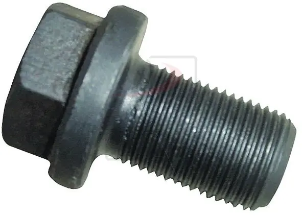 SCREW 