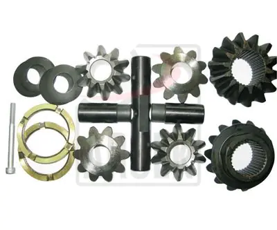 DIFFERENTIAL CASE