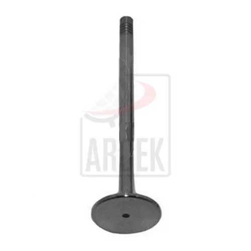 INTAKE VALVE 