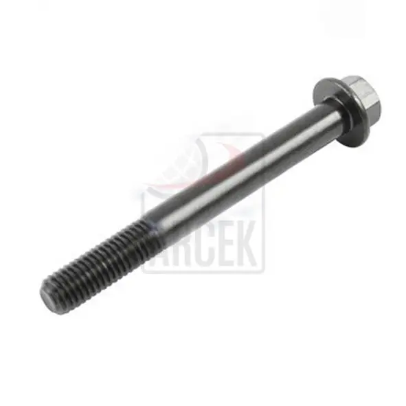 FLANGE SCREW 