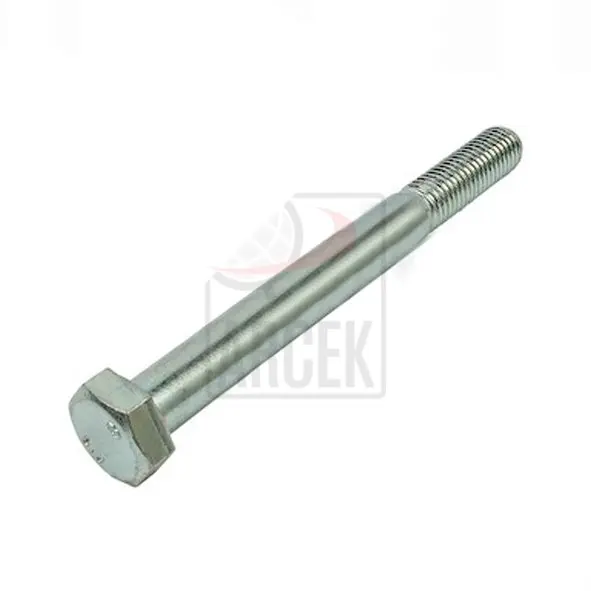 FLANGE SCREW 