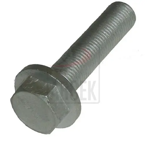 SCREW 