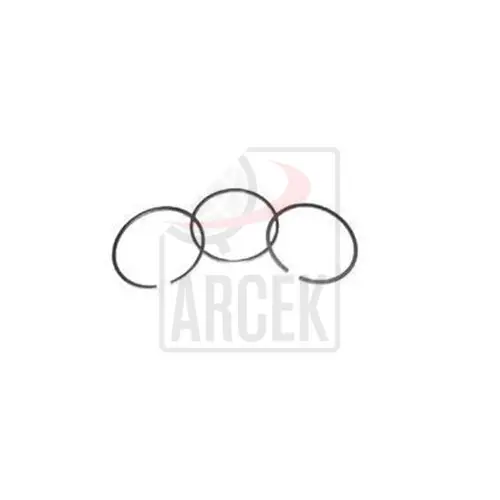 PISTON RINGS 