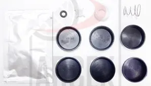 FOUR CIRCUIT PROTECTION VALVE REP KIT. 