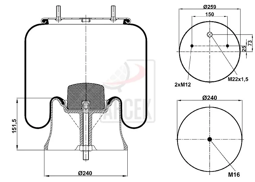 WITH PLASTIC PISTON 