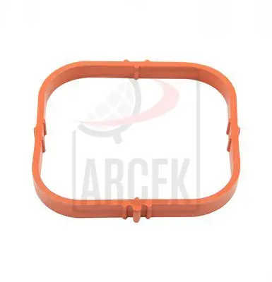 INTAKE GASKET