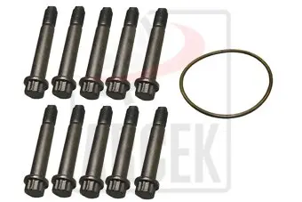 BRAKE DISC SCREW	 